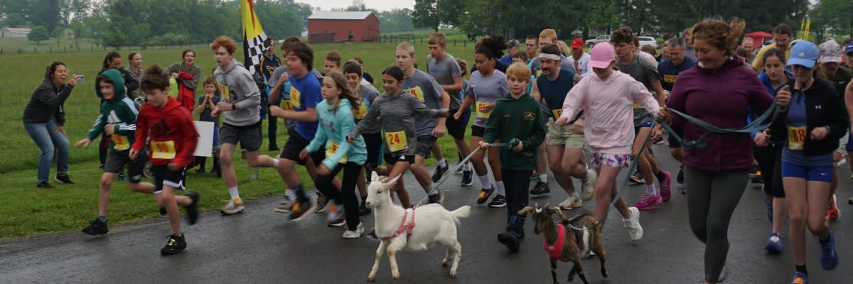 Roosevelt Run/Walk 5K