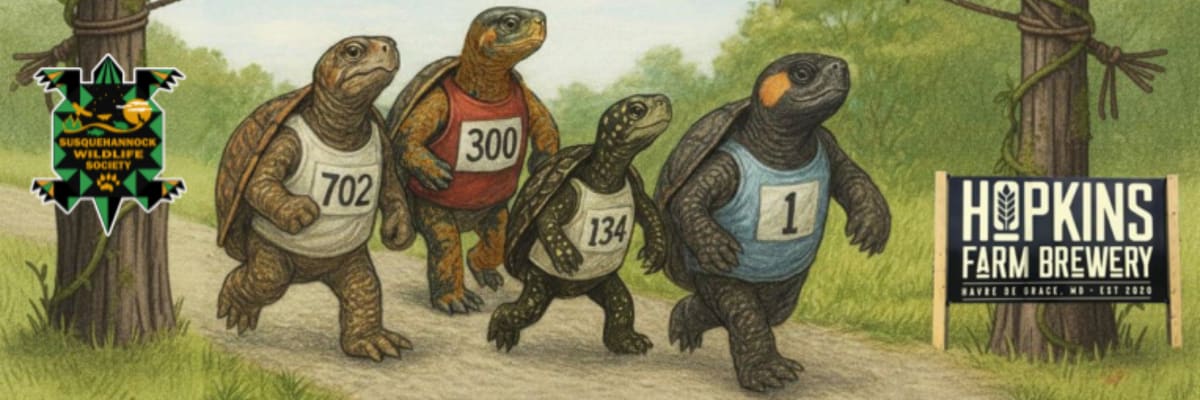 Turtle Derby 5k Trail Race