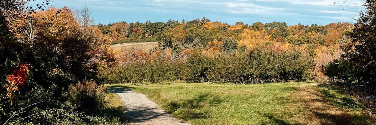 Cider Hill Farm 5K Summer Run