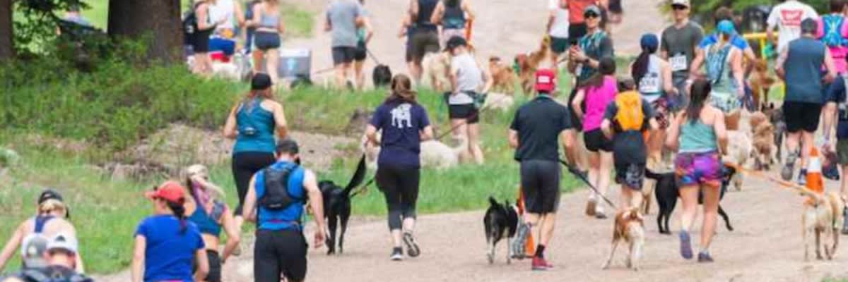 Bleu's Run for Rescue 5K