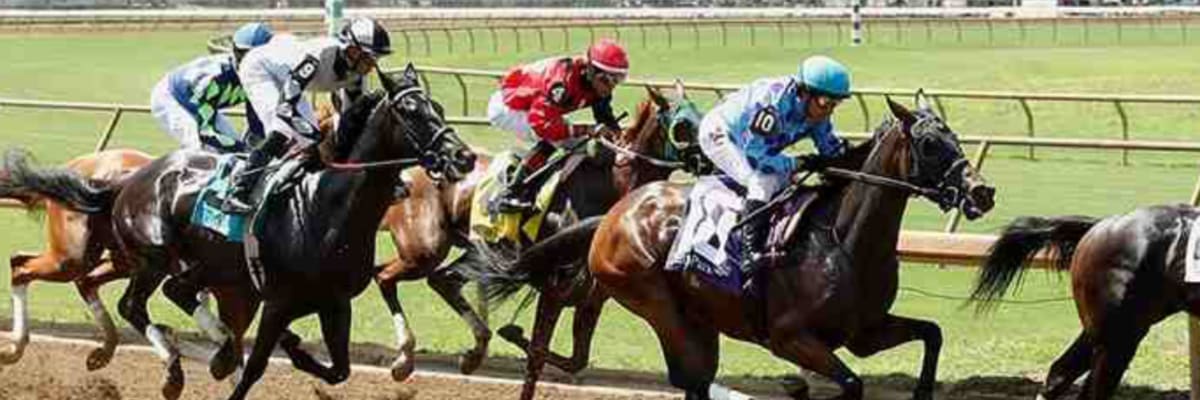 Roses, Ribbons & Racing