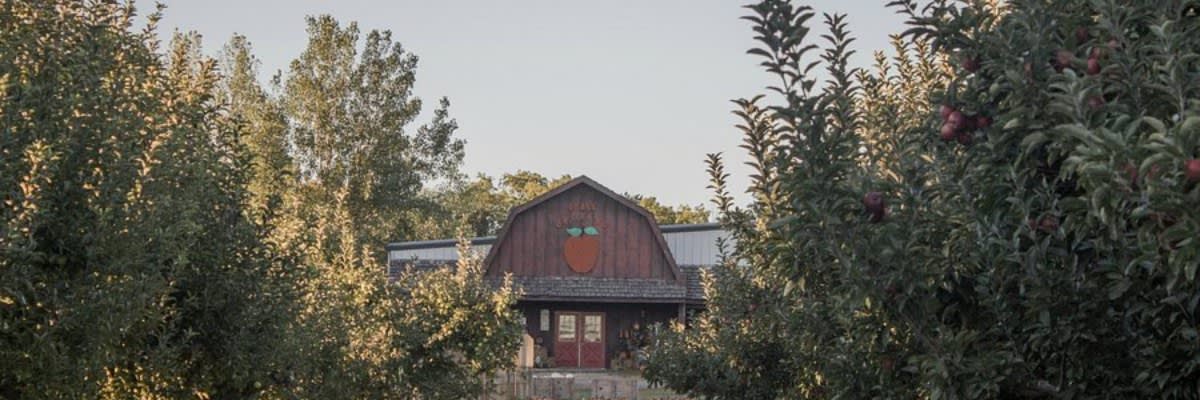Deal's Orchard Spiked Apple 5k