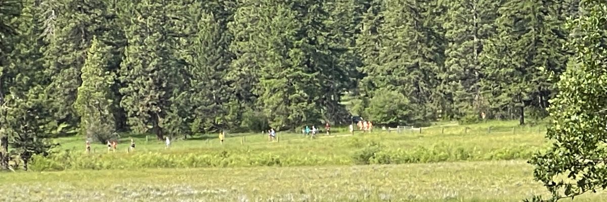 Turtle Trot 5K, 10K, Fun Run and Brunch!