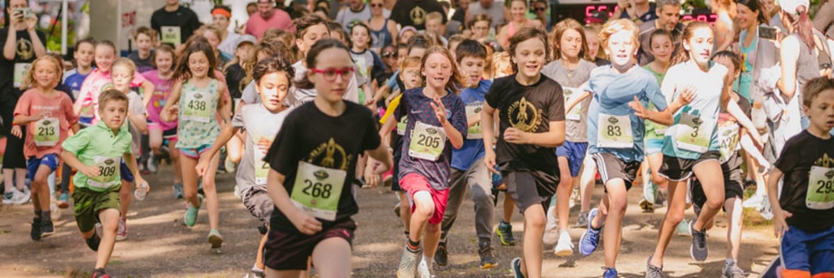 Test - Fund Run
