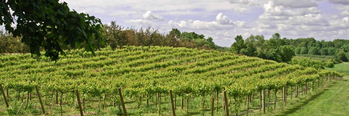 Parley Lake Wine Run 5k