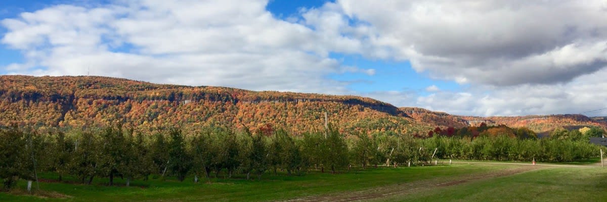 Indian Ladder Farms Spiked Apple 5k