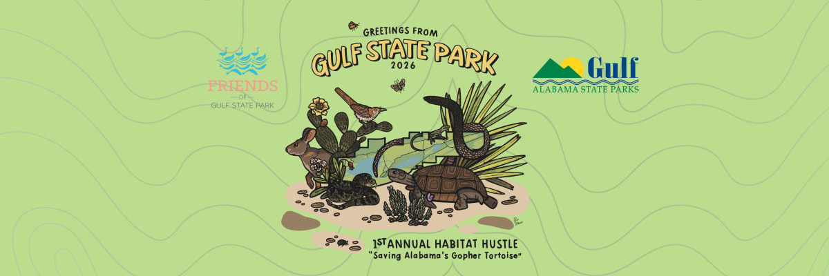 Habitat Hustle: Saving Alabama's Gopher Tortoise