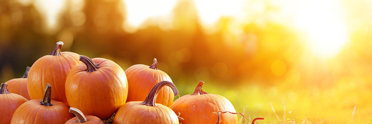 CompleteCare Foundation Halloween Bone Run & Walk