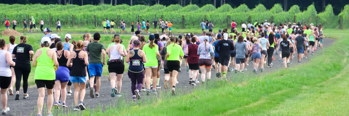 Run the Vineyards Saddlehill Summer 5K