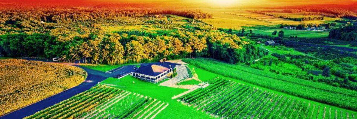 Blue Ridge Winery Wine Run 5k