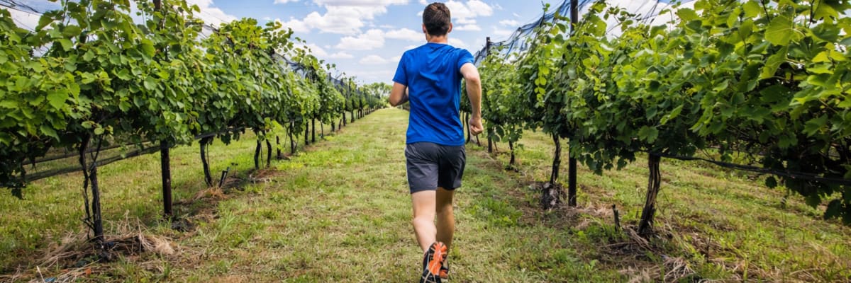 Grace Hill 5K Wine Run