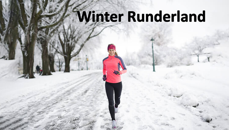 PHOENIX - Winter Runderland