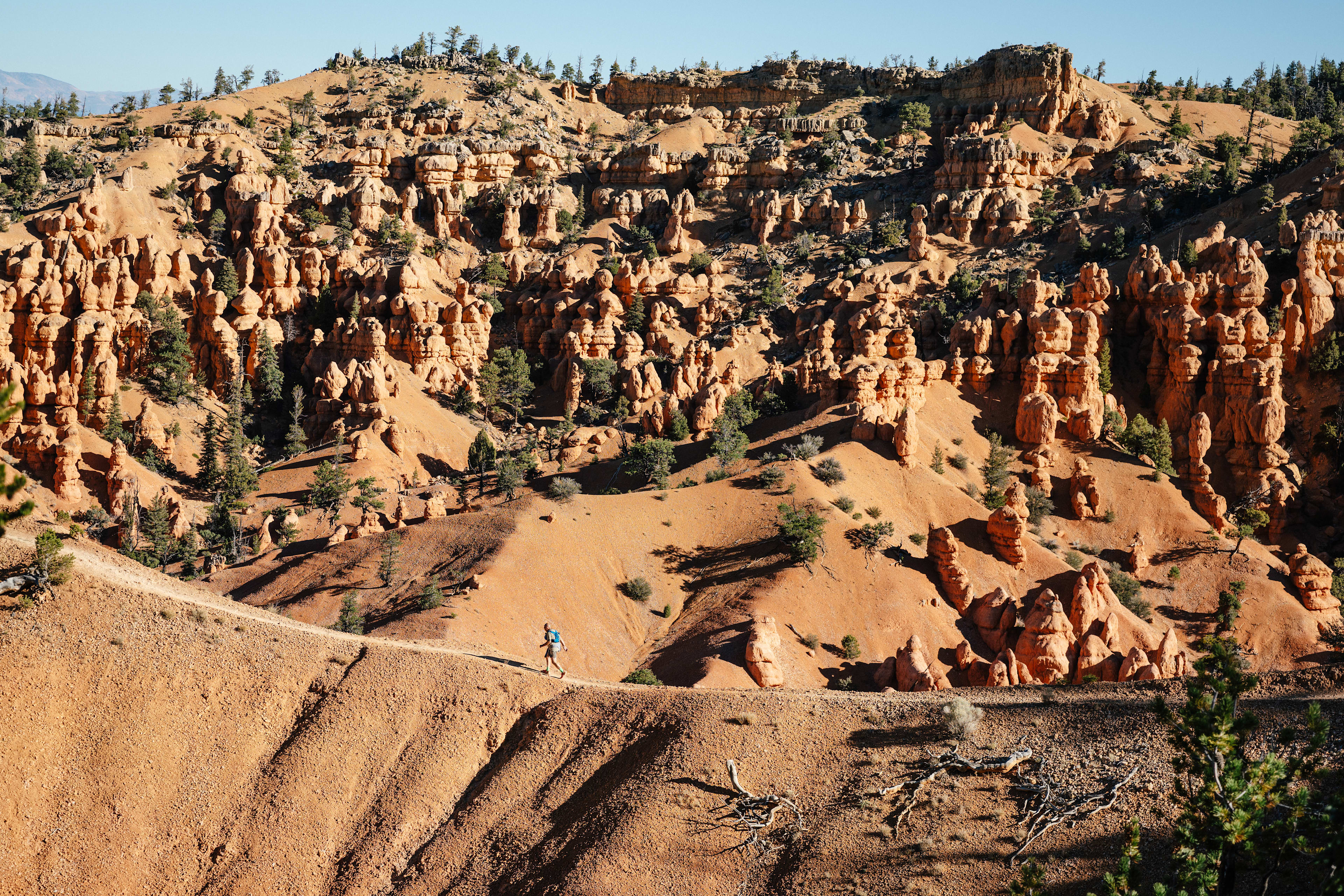 2026 Grand Circle Trailfest