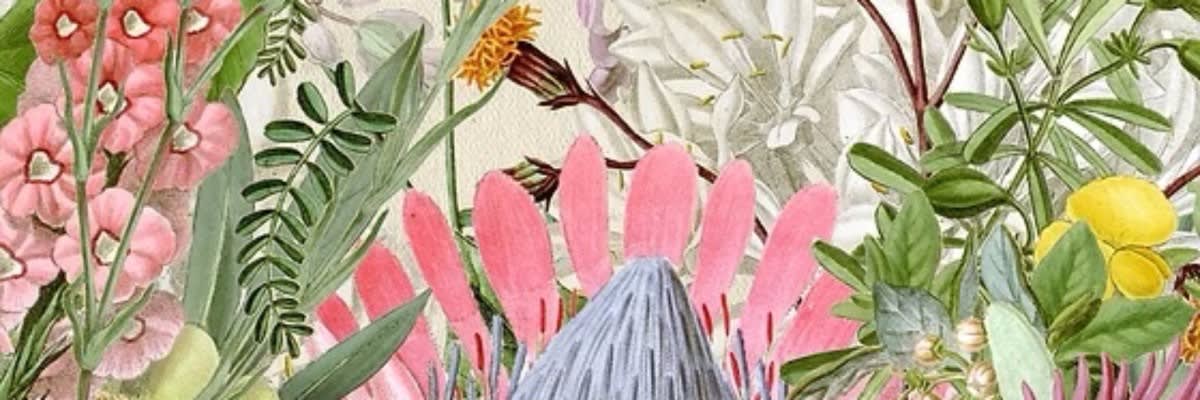 La Terre Farms Flower Festival 5K & 1-Mile Fun Run