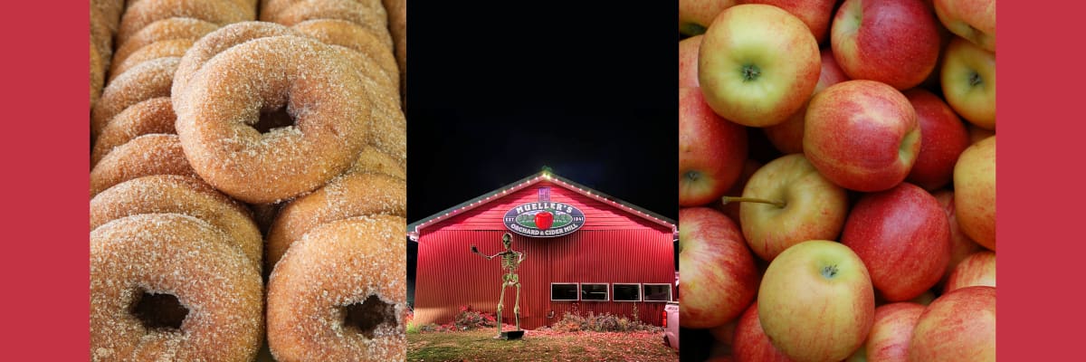 Mueller's Orchard Cider Run 5K Run/Walk