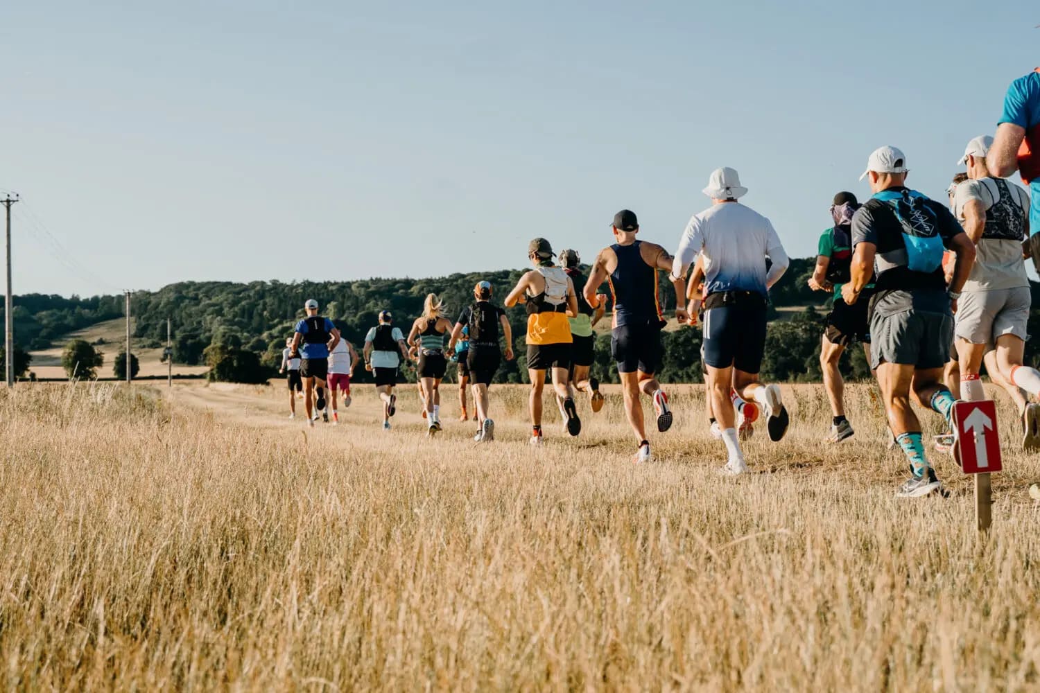 Race to the King & Stones - Bundles