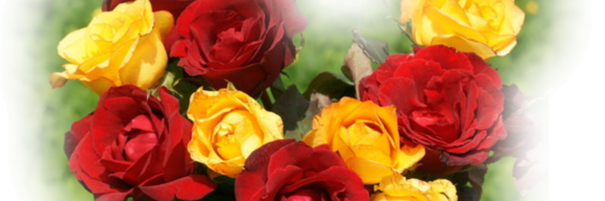 Roses for Hoses 5K Run/Walk