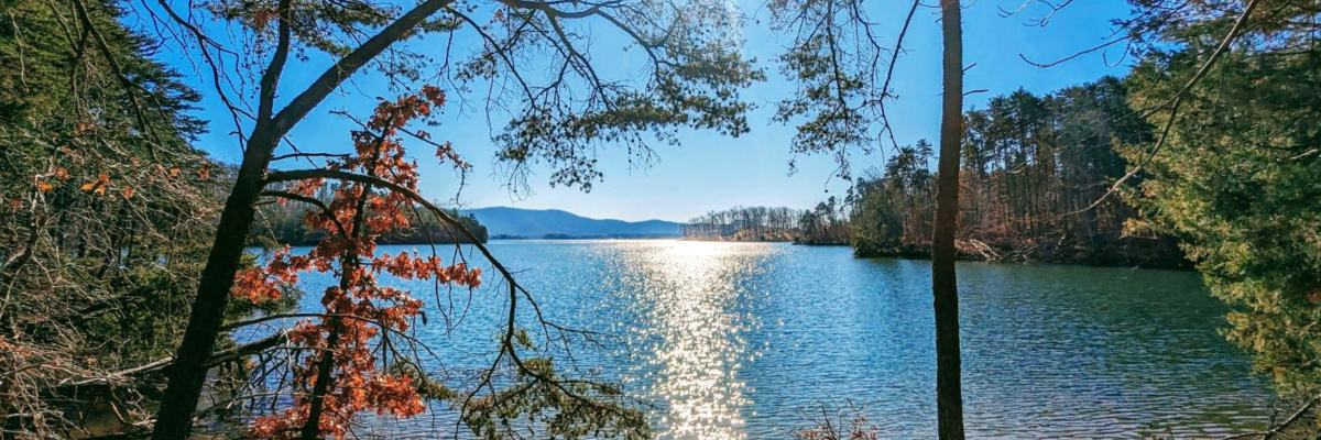 Shorefire Trail Races