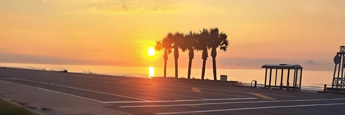Run for a New Day
