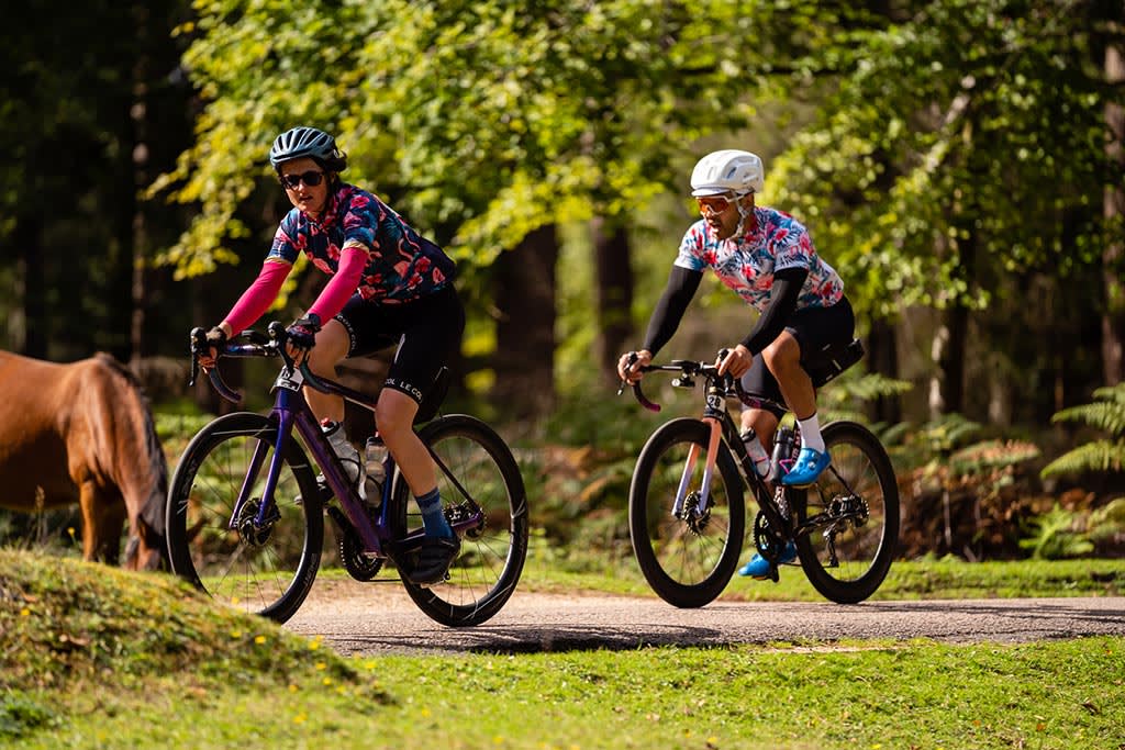 The New Forest Tour 2026