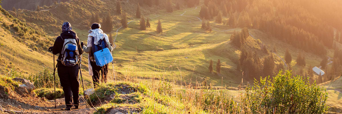 Zanfel Orienteering Race # 3