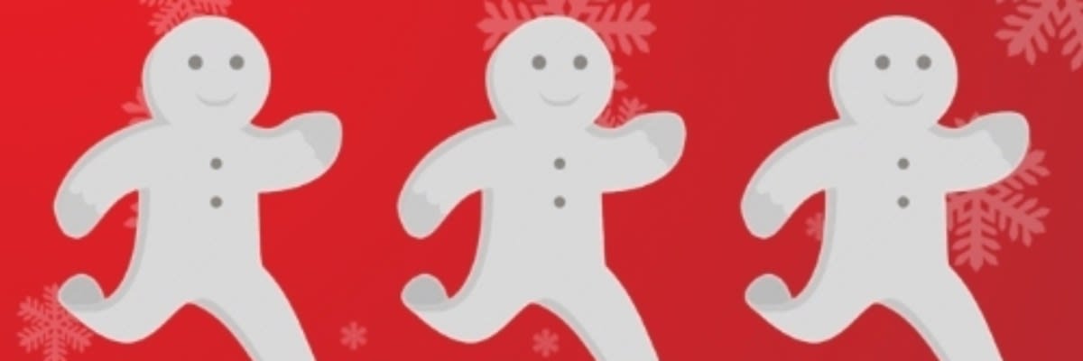 Ithaca YMCA Jingle Jog and Family Fun Mile