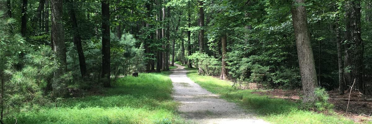 Wildstride Race Series: 10k, 1/2 Marathon