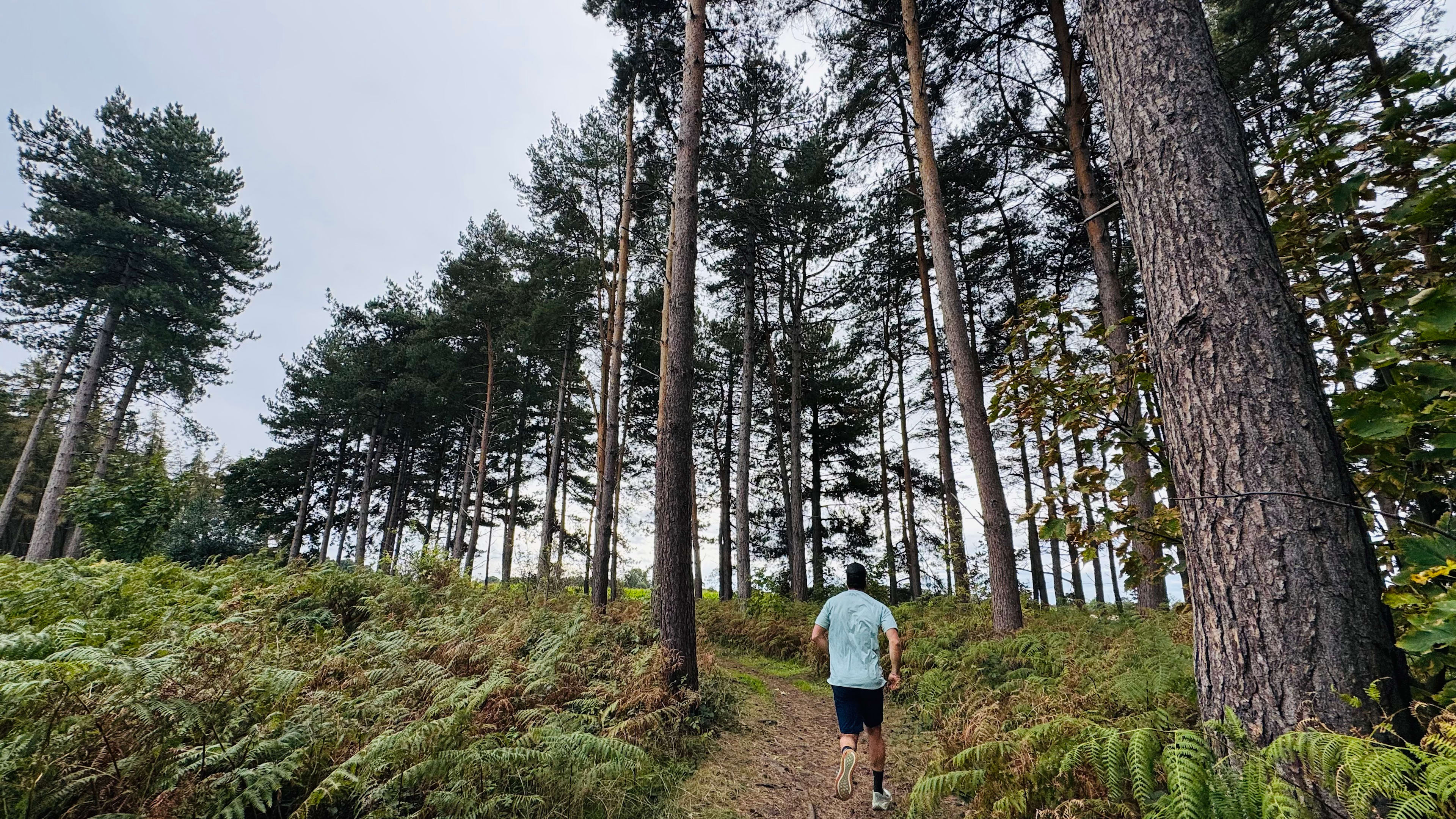 Grand Olde Route of York Trail Run 2027