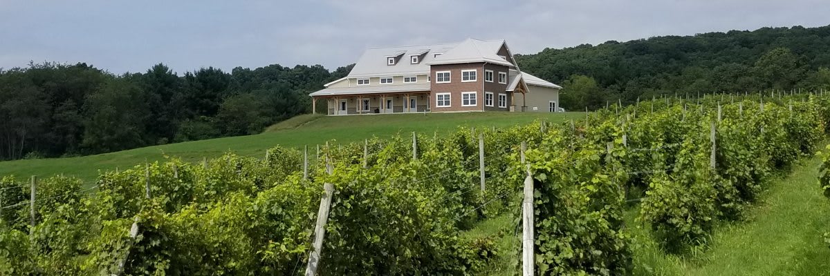 Spyglass on the Ridge Wine Run 5k