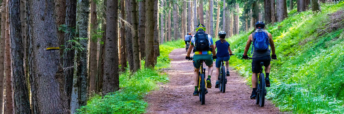MCMBA Women's MTB Skills Clinic on Sunday June 14th