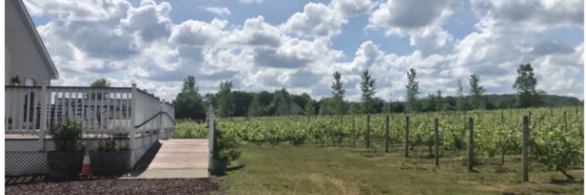 Hopewell Valley Vineyards Wine Run 5k