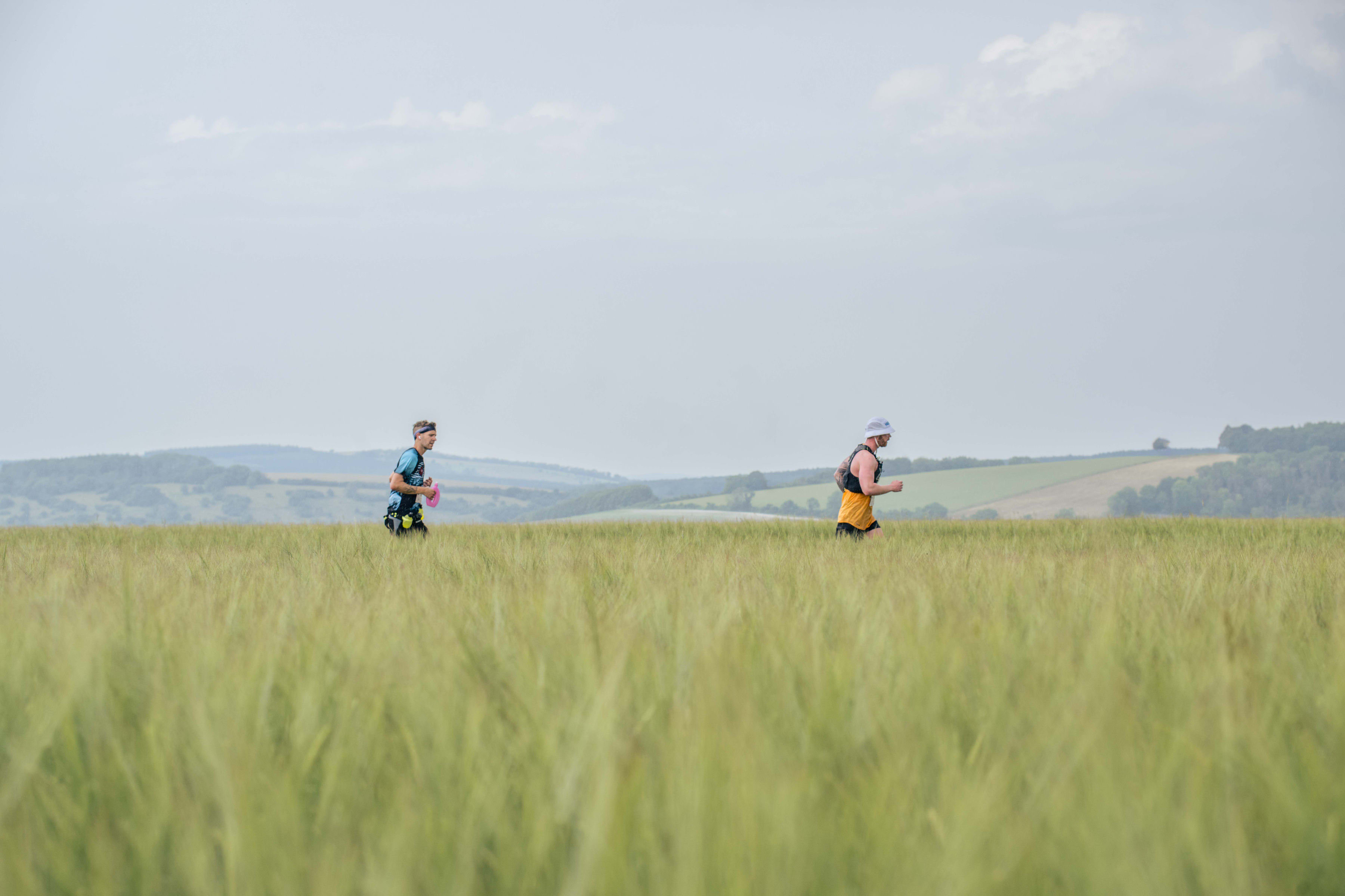 Race to the King 2026