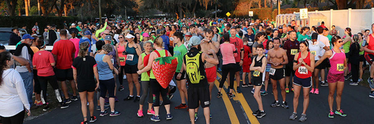 SDC 2027 (Strawberry Distance Challenge)