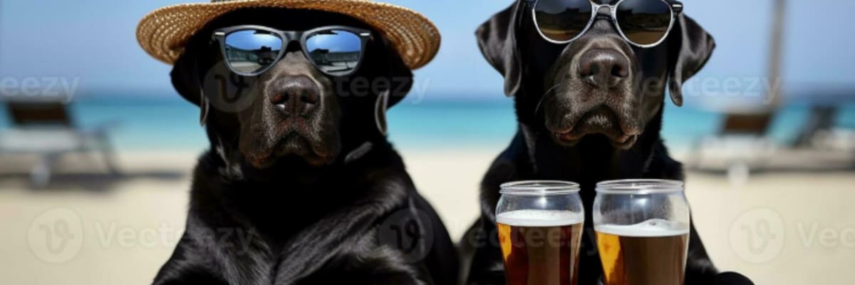 Beerfest at the Ballpark 5K Presented by Vision Tire and Auto