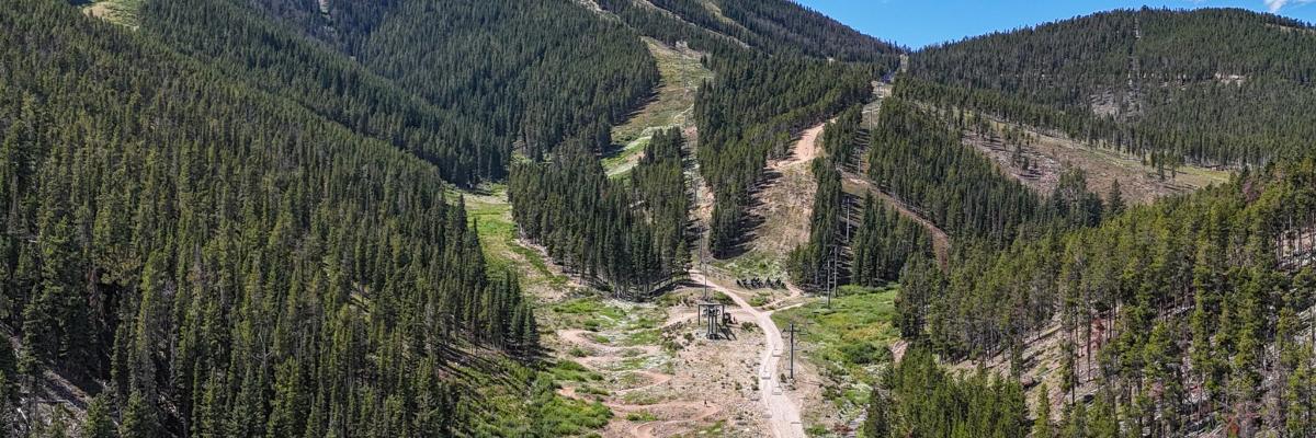 Rough Cut MTB