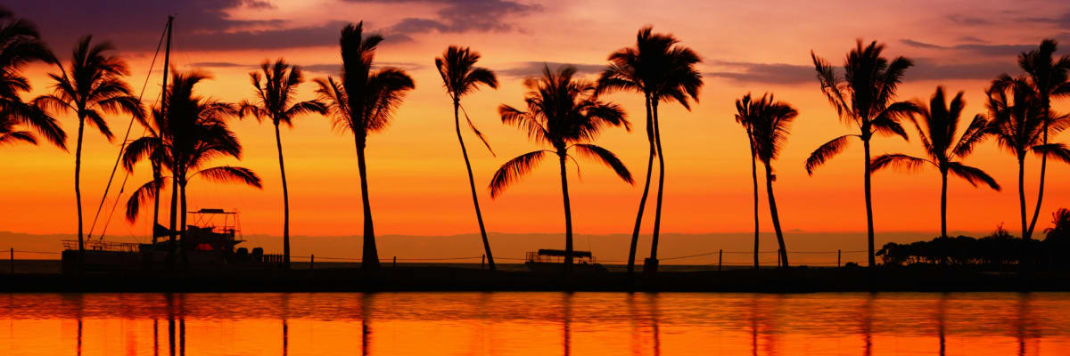 Aloha Run Long Beach