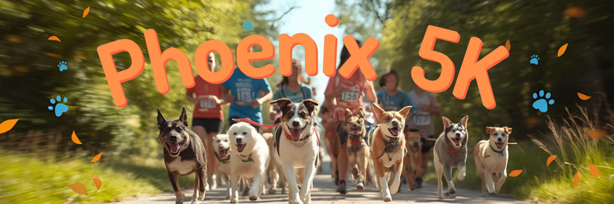 Phoenix 5K