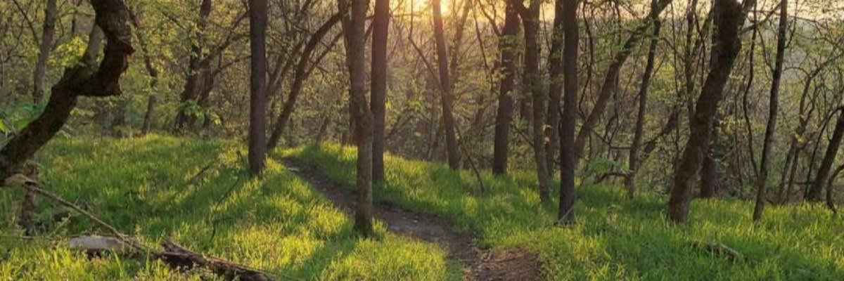 Ridge to River 4 and 10 Mile Trail Run