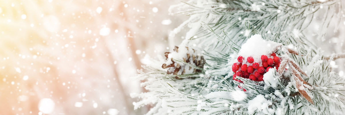 RUN TOTHE RHYTHM 5K & FUN RUN. 8:00 A.M.