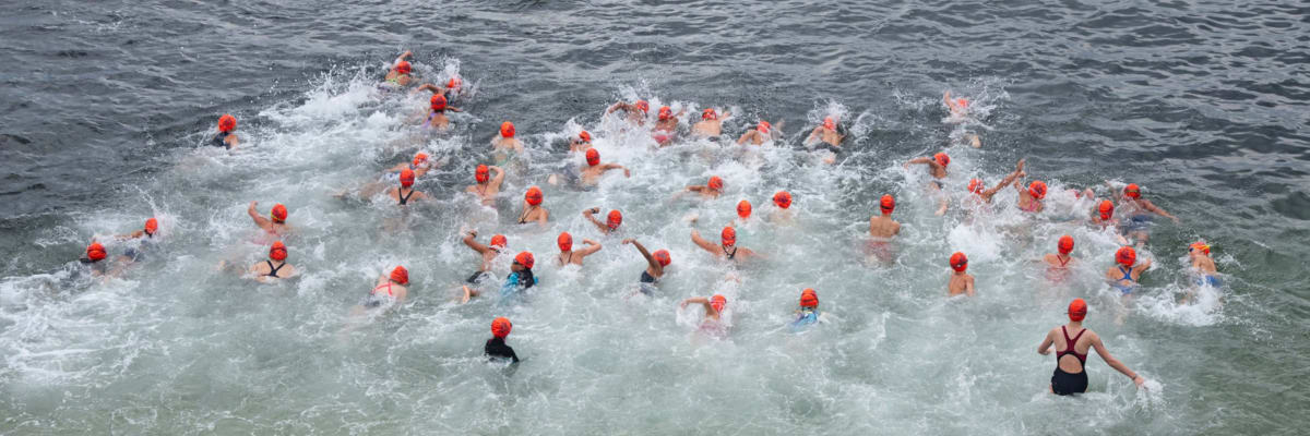 La Jolla Cove Swim