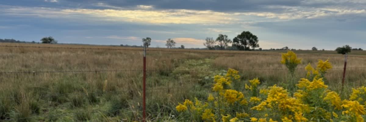 Heart of the Prairie Run