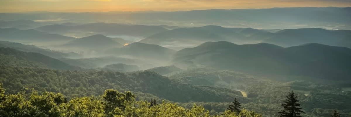 24+ Hours of Brake the Habit