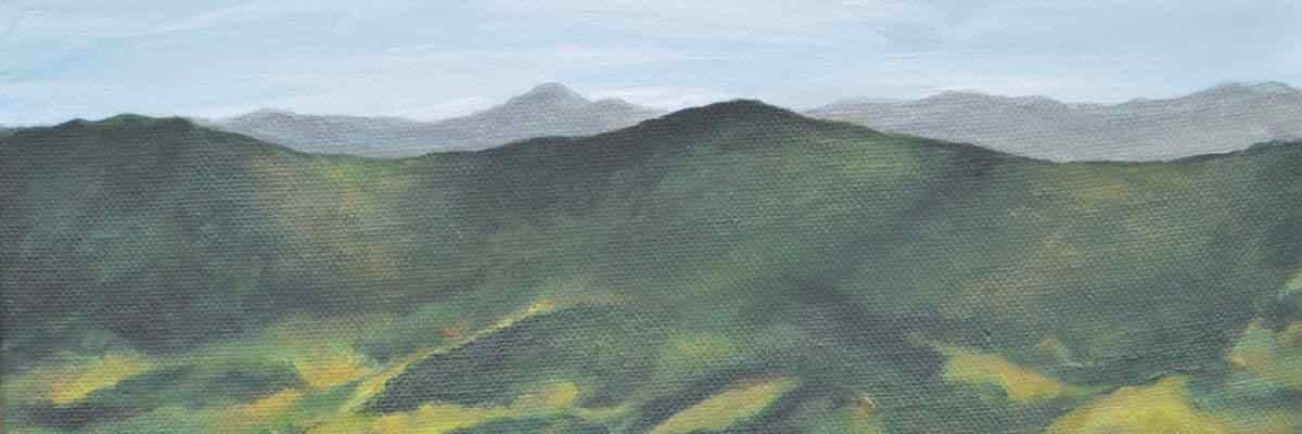 WVMTR Annual Meeting