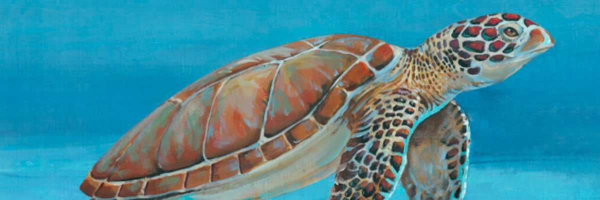 Turtle Trot 10K & 5K