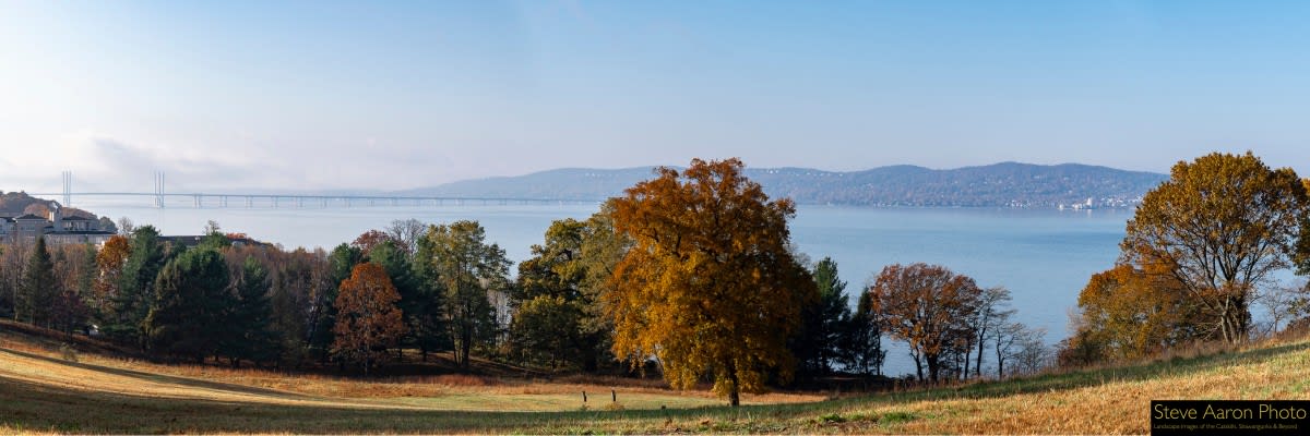 Pocantico Hills Races