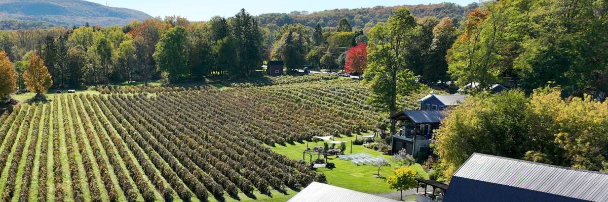 Inspire Moore Wine Run 5k