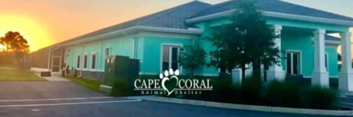 WALK, WIGGLE, WAG & 5K RUN FOR THE CAPE CORAL ANIMAL SHELTER - 2027