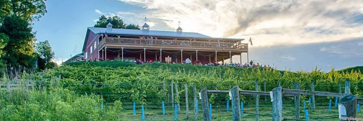 Vineyard at Hershey Haunted Wine Run 5k