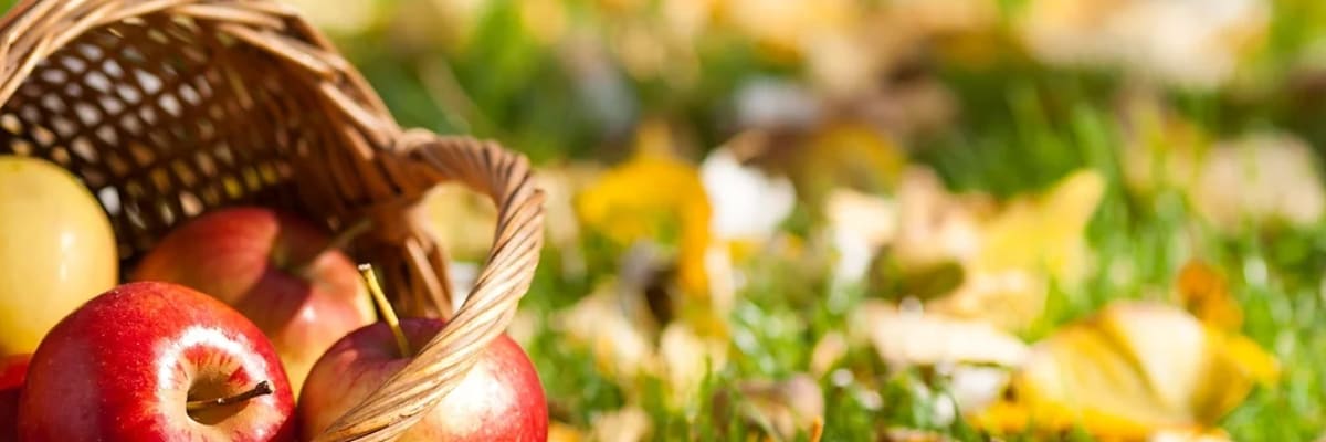 CIDERFEST 5K & Mile