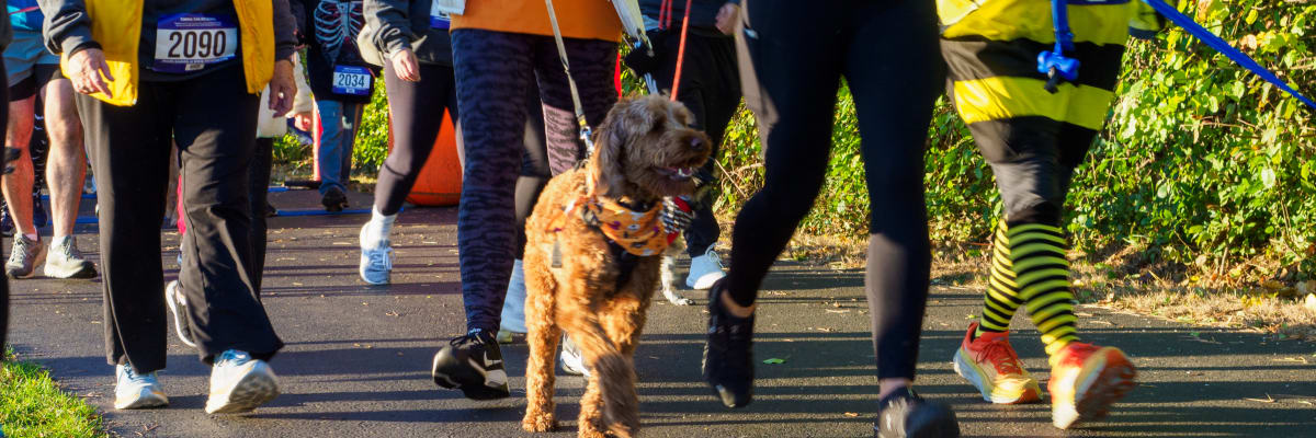 Bolingbrook Howl-O-Ween 5K